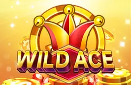 Wild Ace